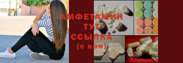 амф Верхний Тагил