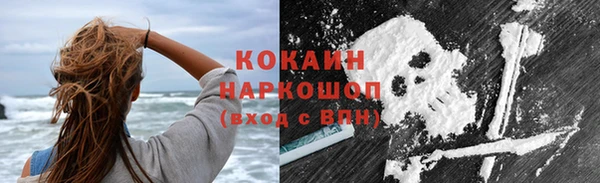 амф Верхний Тагил